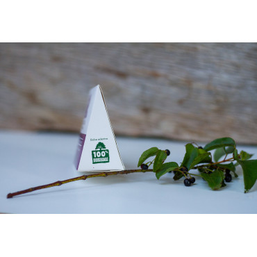 Recharge Maqui Bio en poudre format 100g - de côté