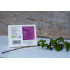 Recharge Maqui Bio en poudre format 100g - de dos