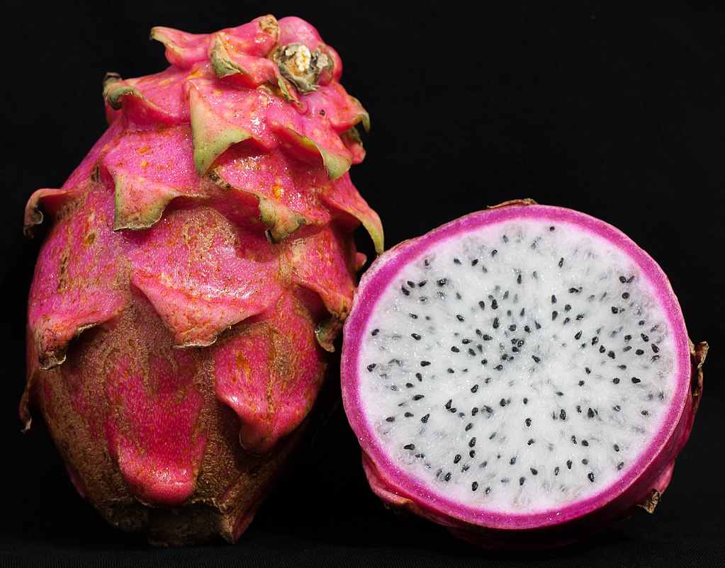 La Pitaya ou Fruit du Dragon connu pour son pouvoir antioxydant