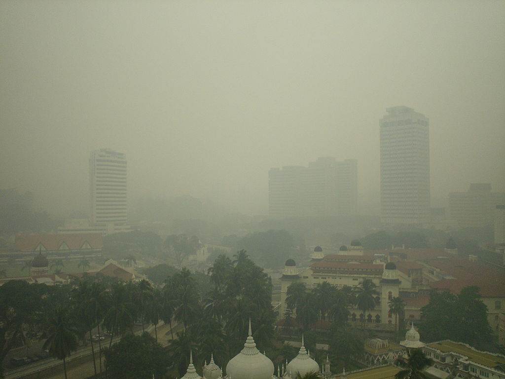 La pollution, une source de stress oxydatif