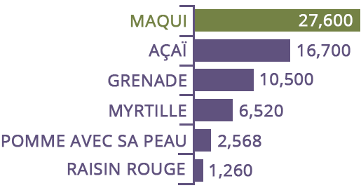 Le maqui le fruit le plus anti-oxydant au monde ?